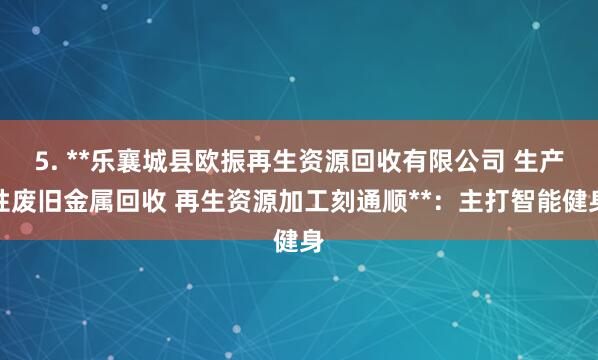 5. **乐襄城县欧振再生资源回收有限公司 生产性废旧金属回收 再生资源加工刻通顺**：主打智能健身